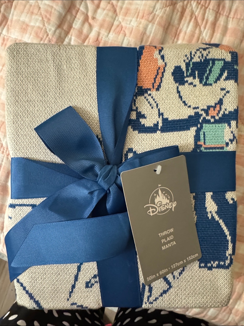 Disney Mickey Mouse, Minnie, mouse surfing blanket throw NWT